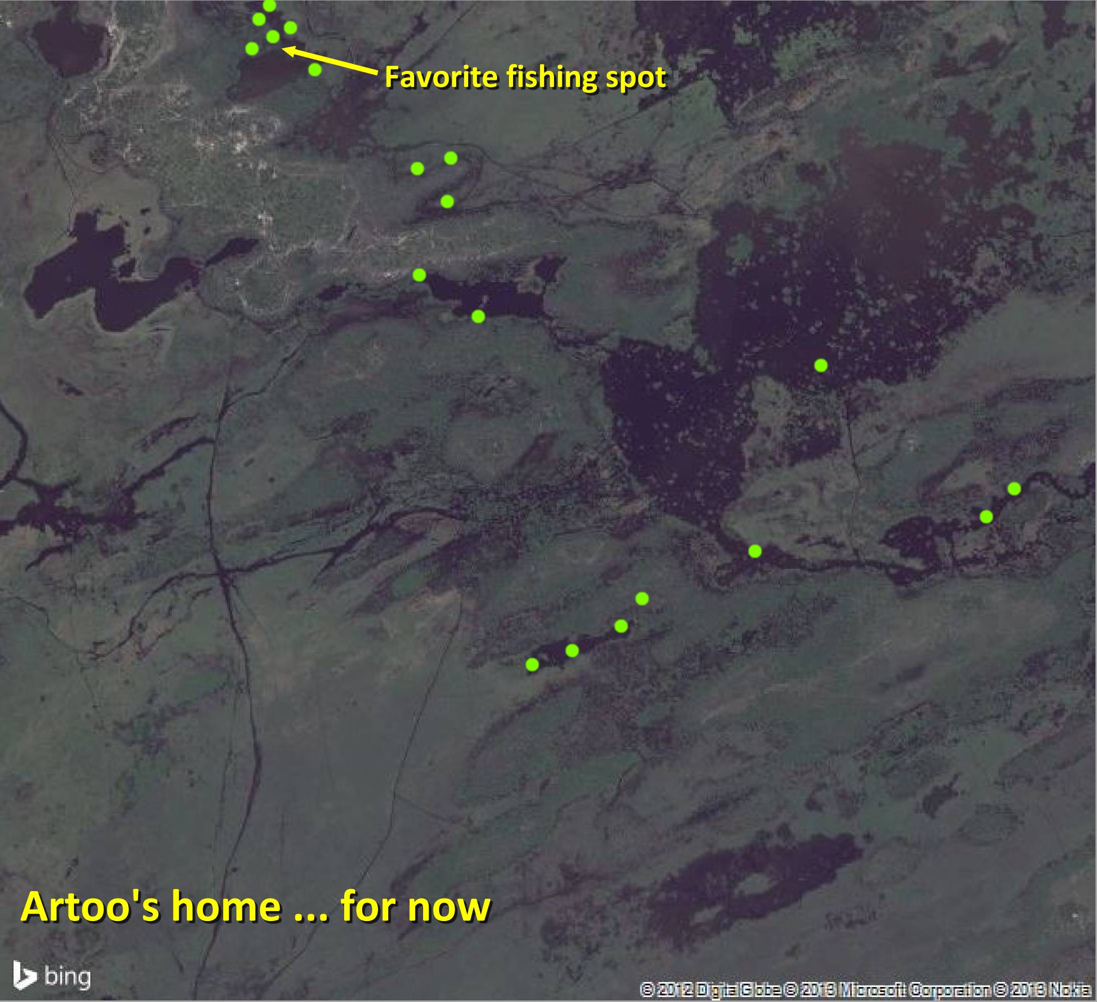 Artoo - November 1, 2013 (Bing Map)